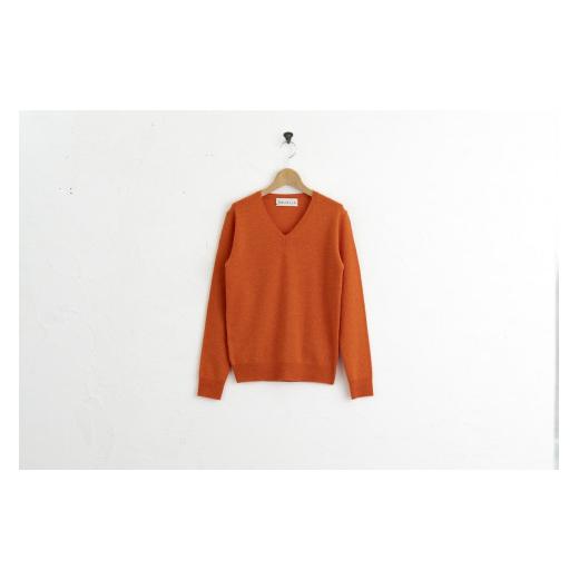 ふるさと納税 服 男 宮城県 加美町 Vネックプルオーバー 度詰(キャロット)男性用サイズ:L(44) 白田のカシミヤ キャロット L(44) サイズ