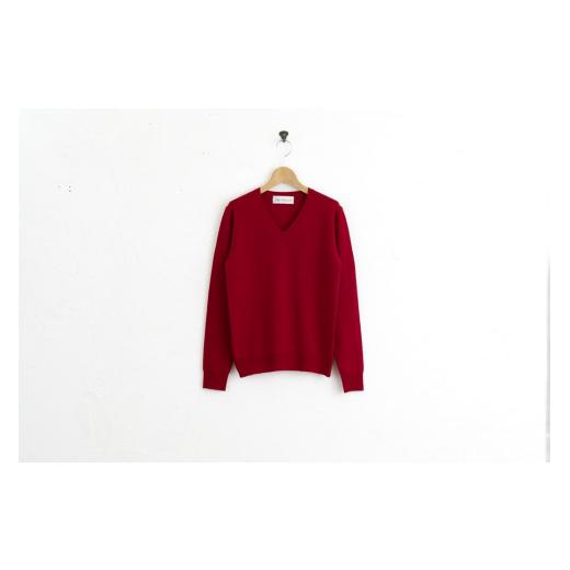 ふるさと納税 服 男 宮城県 加美町 Vネックプルオーバー 度詰(レッド)男性用サイズ:S(40) 白田のカシミヤ レッド S(40) サイズ