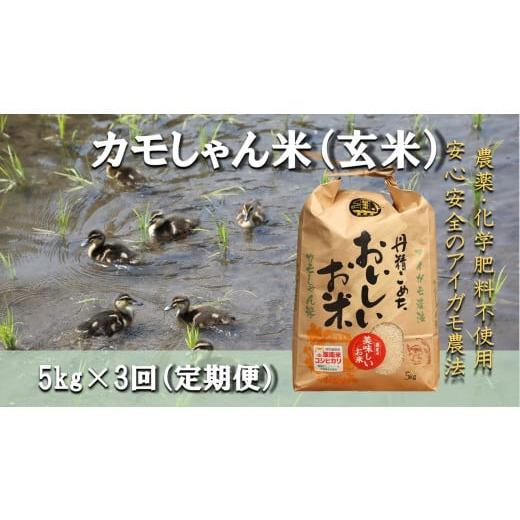 ふるさと納税 米 コシヒカリ 島根県 飯南町 令和7年度産 コシヒカリ(玄米)カモしゃん米 5kg 定期便 3回 アイガモ あいがも 合鴨 かも カモ コシヒカリ お米…