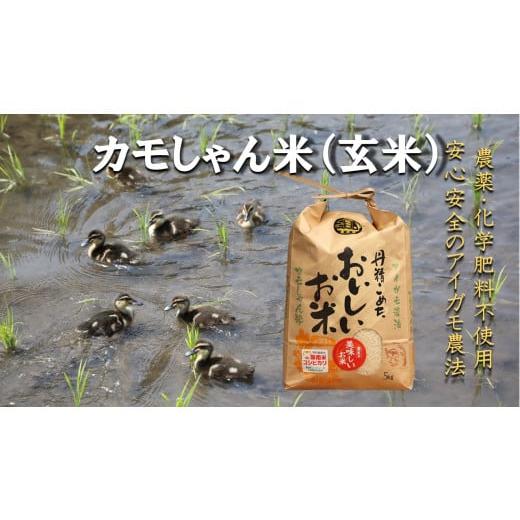ふるさと納税 玄米 島根県 飯南町 令和7年度産 コシヒカリ (玄米)カモしゃん米 5kg アイガモ あいがも 合鴨 かも カモ コシヒカリ お米 農家直送 無農薬 …