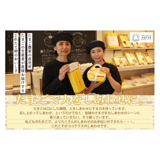 ふるさと納税 御菓子 詰合せ 愛知県 常滑市 ココテラスの申し分なく仕かける