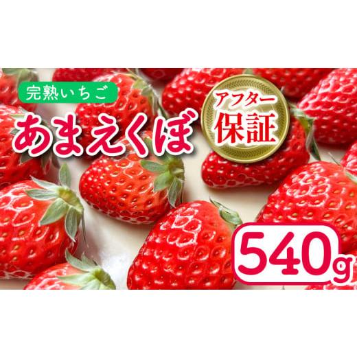 ふるさと納税 いちご 徳島県 吉野川市 いちご あまえくぼ 2パック 540g ( 2026年 1月 発送開始 ) 朝採れ 期間限定 人気 果物 フルーツ 新鮮 旬 冬 春 ケーキ …