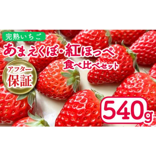 ふるさと納税 いちご 徳島県 吉野川市 2026年1月発送開始 いちご 540g 紅ほっぺ あまえくぼ 食べ比べ セット 2パック 朝採れ 期間限定 人気 果物 フルーツ 新…