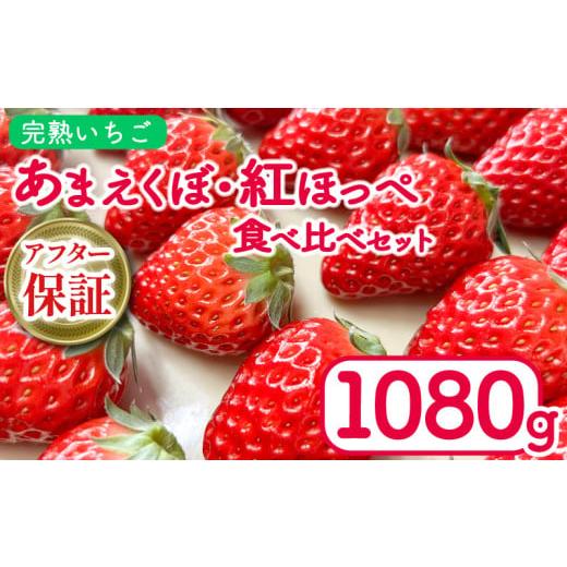 ふるさと納税 いちご 徳島県 吉野川市 いちご 1080g 紅ほっぺ あまえくぼ 食べ比べ セット ( 2026年 1月 発送開始 ) 4パック 朝採れ 期間限定 人気 果物 フル…