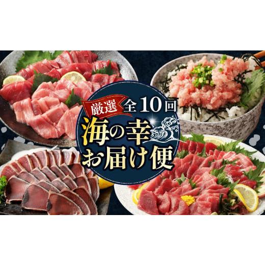 ふるさと納税 マグロ 高知県 室戸市 全10回 定期便 タカシン水産 厳選 高知の海鮮セット まぐろ カツオのたたき ネギトロ 中トロ 刺身 海鮮 鰹 冷凍 魚 海産…