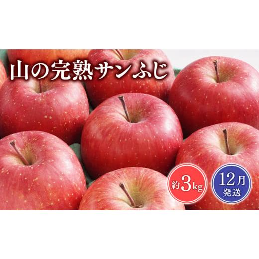 ふるさと納税 りんご 青森県 平川市 2026年12月発送 山の完熟サンふじ約3kg 青森県 平川市 吹田りんご園 サンふじ ふじ りんご リンゴ アップル 果物 くだ…