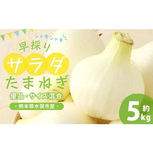 ふるさと納税 野菜類 玉ねぎ 熊本県 水俣市 1年に1度だけ 甘くて柔らかい 早採りサラダ玉ねぎ 約5kg 優品 サイズ混合 玉ねぎ タマネギ 玉葱 サラたま 春 新た…