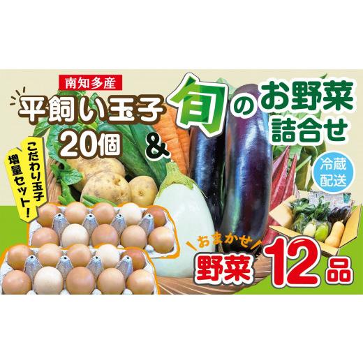 ふるさと納税 セット・詰合せ 愛知県 南知多町 野菜セット(12品目)&amp;平飼い玉子 20個 セット 旬 季節 卵 南知多産 詰め合わせ 農薬・化学肥料不使用 農家お…
