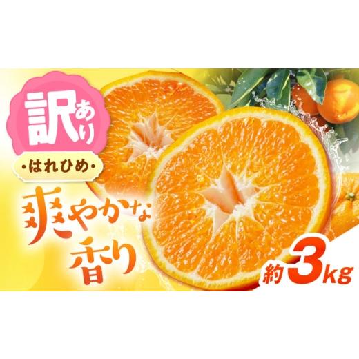 ふるさと納税 果物類 みかん 愛媛県 砥部町 みかん 訳あり はれひめ 約3kg サイズ不揃い 12月上旬から翌年1月上旬まで順次発送 / フルーツ 果物 蜜柑 ミカン …