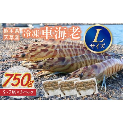 ふるさと納税 エビ 車エビ 熊本県 天草市 S146-002_家庭用 Lサイズ 冷凍 車海老(要加熱)750g Lサイズ 750g(250g×3P)
