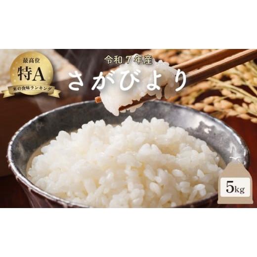 ふるさと納税 米 さがびより 佐賀県 大町町 令和7年産 さがびより 5kg /米 お米 返礼品 飯 ごはん 弁当 銘柄米 白米 県産米 佐賀県産 国産米 精米 ブランド米…
