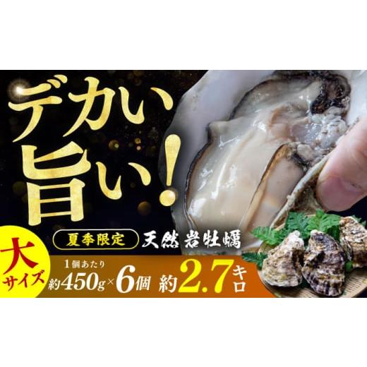 ふるさと納税 牡蠣 生牡蠣 福井県 小浜市 先行予約 / 2026年6月下旬より順次発送 若狭湾 生食用 天然岩牡蠣 大6個(軍手、牡蠣ナイフ付き) 小浜市 / 加福…