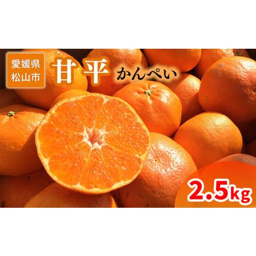 ふるさと納税 果物類 みかん 愛媛県 松山市 家庭用 甘平 2.5kg 約2.5kg ¥22,000