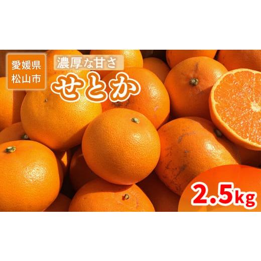 ふるさと納税 みかん・柑橘類 愛媛県 松山市 家庭用 せとか 2.5kg 約2.5kg ¥11,000