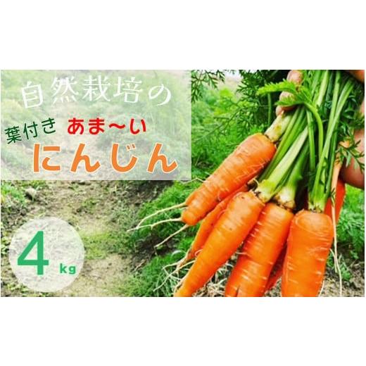 ふるさと納税 野菜類 人参 京都府 亀岡市 人参 4kg 期間限定 自然栽培の甘い 葉付き人参 京都府・亀岡産 かたもとオーガニックファームよりお届け [訳あり サ…