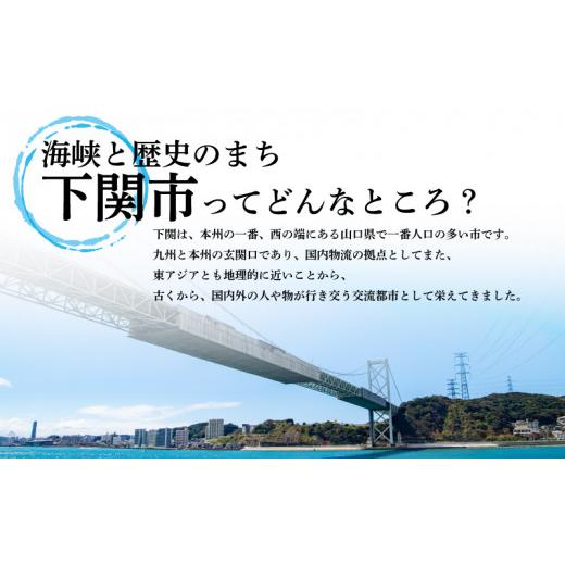 ふるさと納税 醤油 だし醤油 山口県 下関市 お刺身専用だし醤油 200ml×3本 ( 鮮魚 魚介 海鮮 海の幸 刺身 醤油 だし醤油 出汁 調味料 お手軽 便利 ごはんのお…の画像