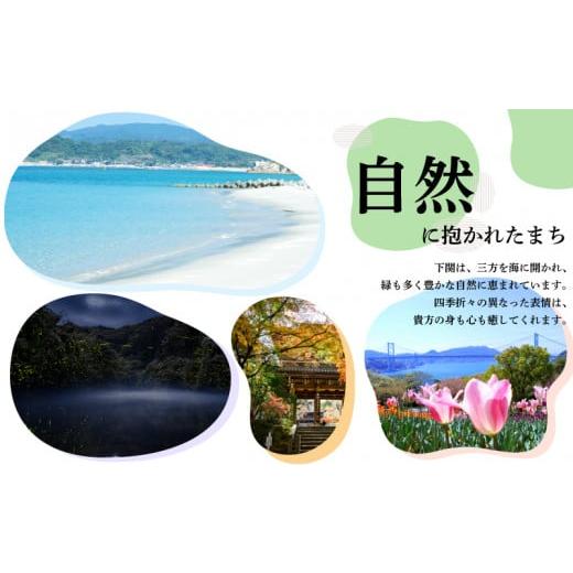 ふるさと納税 醤油 だし醤油 山口県 下関市 お刺身専用だし醤油 200ml×3本 ( 鮮魚 魚介 海鮮 海の幸 刺身 醤油 だし醤油 出汁 調味料 お手軽 便利 ごはんのお…の画像