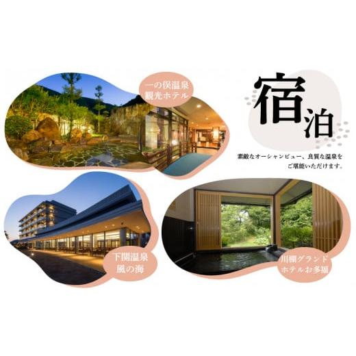 ふるさと納税 醤油 だし醤油 山口県 下関市 お刺身専用だし醤油 200ml×3本 ( 鮮魚 魚介 海鮮 海の幸 刺身 醤油 だし醤油 出汁 調味料 お手軽 便利 ごはんのお…の画像