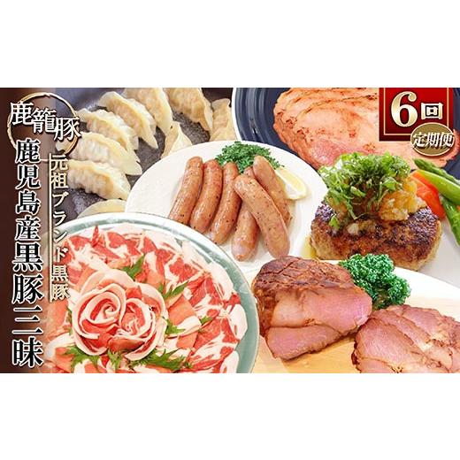 ふるさと納税 肉 ハム 鹿児島県 枕崎市  発送月固定定期便 鹿児島県産黒豚三昧Bセット GG5-0001全6回_黒豚 豚肉 鹿児島県 国産 定期便 美味しい 人気 送料無料…_1
