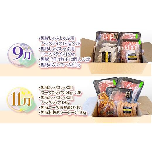 ふるさと納税 肉 ハム 鹿児島県 枕崎市  発送月固定定期便 鹿児島県産黒豚三昧Bセット GG5-0001全6回_黒豚 豚肉 鹿児島県 国産 定期便 美味しい 人気 送料無料…_4
