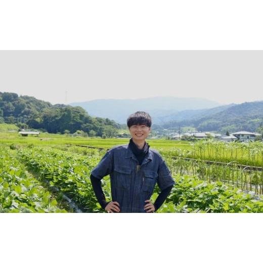 ふるさと納税 野菜類 サツマイモ 京都府 宮津市  令和9年1月より順次出荷 京都府産 干し芋(紅はるか) 150g×4袋 さつまいも サツマイモ 紅はるか ねっとり …の画像