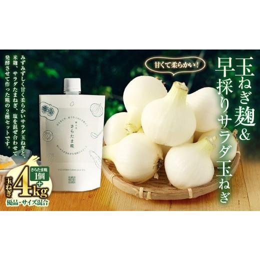 ふるさと納税 野菜類 玉ねぎ 熊本県 水俣市 玉ねぎ麹&1年に1度だけ 甘くて柔らかい 早採りサラダ玉ねぎ 4kg 優品 サイズ混合 栽培期間中農薬不使用/熊本県水…