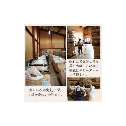 極細密画の本金蒔絵 輪島塗師 耕雲 川口浩文 五節句蒔絵 三段重箱 共箱付