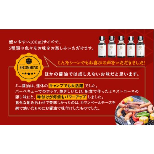 ふるさと納税 醤油 濃口 島根県 江津市 店主おすすめ 大亀醤油 ぷち醤油5種(全100ml各1本)5本セット YS-19 ｜送料無料 大亀醤油 国産 ぷち醤油 醤油 しょうゆ …の画像