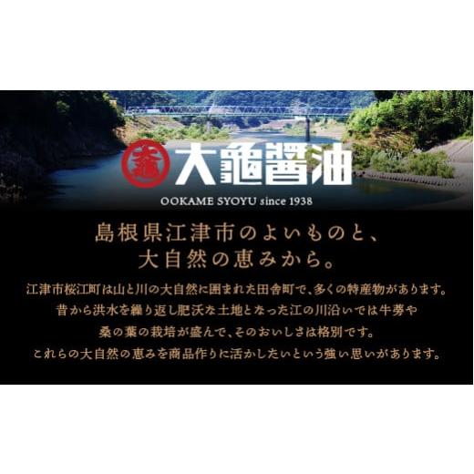 ふるさと納税 醤油 濃口 島根県 江津市 店主おすすめ 大亀醤油 ぷち醤油5種(全100ml各1本)5本セット YS-19 ｜送料無料 大亀醤油 国産 ぷち醤油 醤油 しょうゆ …の画像