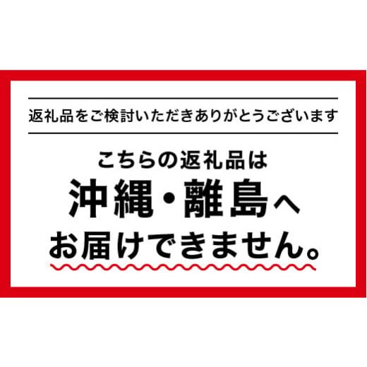 ふるさと納税 醤油 濃口 島根県 江津市 店主おすすめ 大亀醤油 ぷち醤油5種(全100ml各1本)5本セット YS-19 ｜送料無料 大亀醤油 国産 ぷち醤油 醤油 しょうゆ …の画像