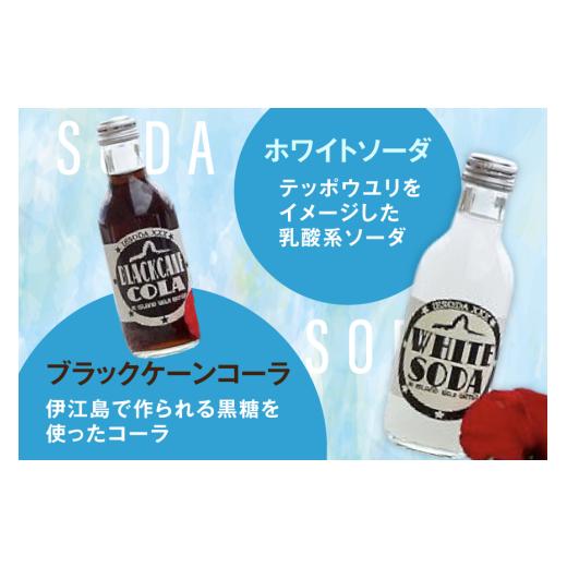 ふるさと納税 炭酸飲料 サイダー 沖縄県 伊江村 ソーダ 告白飲料 イエソーダ 24本セット 伊江島物産センター 沖縄県 伊江村 ie47bde210012 炭酸 シュワシュワ …_2