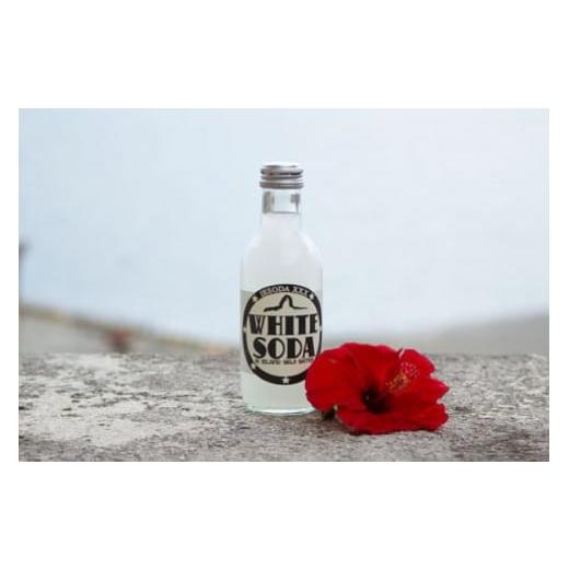 ふるさと納税 炭酸飲料 サイダー 沖縄県 伊江村 ソーダ 告白飲料 イエソーダ 24本セット 伊江島物産センター 沖縄県 伊江村 ie47bde210012 炭酸 シュワシュワ …_7