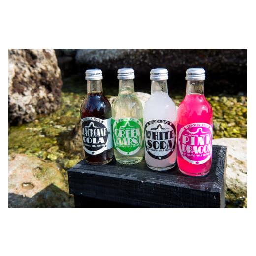 ふるさと納税 炭酸飲料 サイダー 沖縄県 伊江村 ソーダ 告白飲料 イエソーダ 24本セット 伊江島物産センター 沖縄県 伊江村 ie47bde210012 炭酸 シュワシュワ …_9