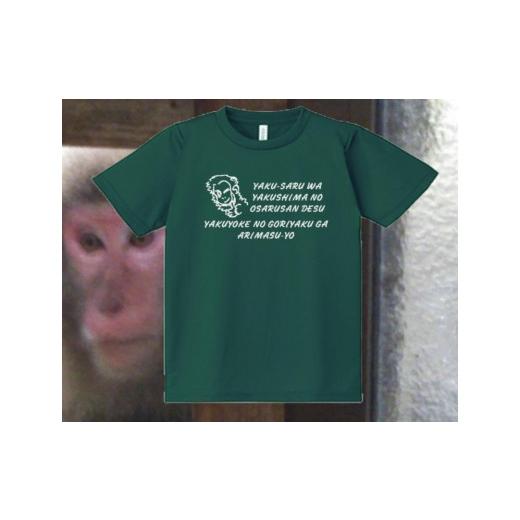 ふるさと納税 アウトドアグッズ ウェア 鹿児島県 屋久島町 やくさるTシャツDRY LLサイズ 緑 緑