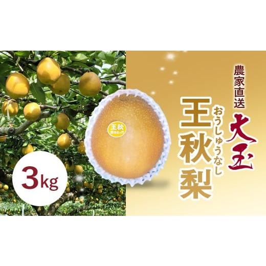 ふるさと納税 梨 千葉県 富里市 農家直送 大玉 王秋 梨 3kg / ふるさと納税 フルーツ 果物 なし ナシ 梨 王秋 大玉 数量限定 千葉県 富里市