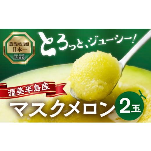 ふるさと納税 メロン メロン青肉 愛知県 田原市 9月中お届け 先行予約 渥美半島産 マルカ農園のマスクメロン 2玉 (1玉1.5kg以上) めろん 箱詰め フルーツ 果物…