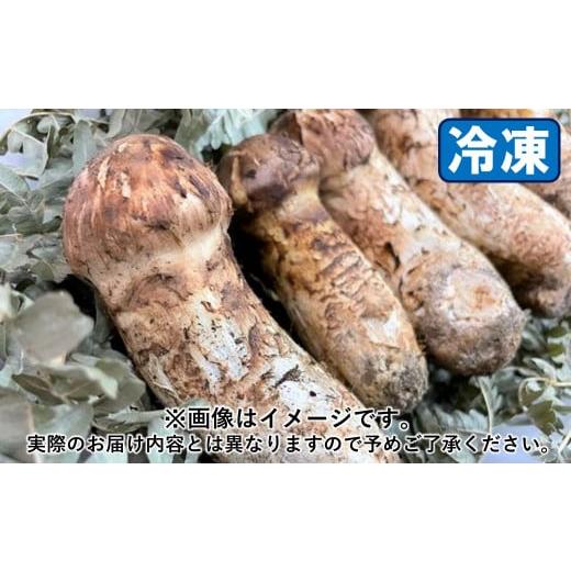 ふるさと納税 野菜類 きのこ 岩手県 久慈市 久慈産 冷凍 天然松茸「サイズ、つぼみ、開きおまかせ」200g 「 200g 」