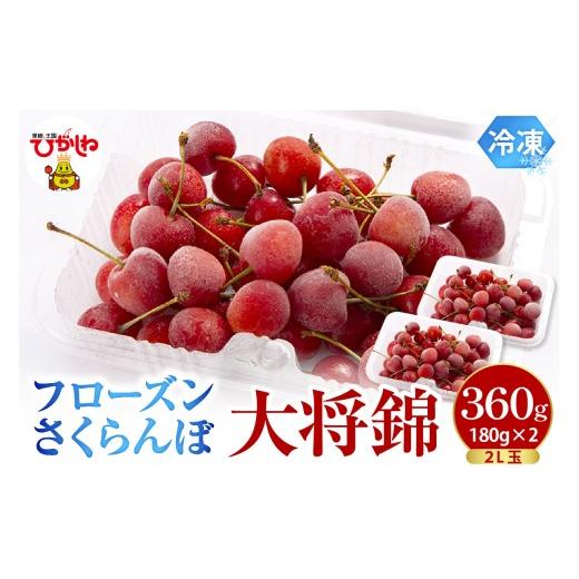 ふるさと納税 果物類 さくらんぼ 山形県 東根市 フローズンさくらんぼ 「大将錦」 2L玉 180g入×2P 有限会社佐藤錦 提供 hi029-043 180g×2パック
