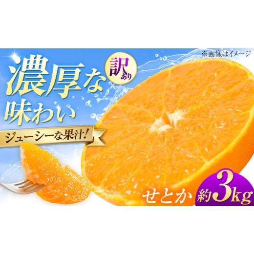 ふるさと納税 果物類 みかん 愛媛県 砥部町 みかん 訳あり せとか 約3kg サイズ不揃い 1月下旬から2月中旬まで順次発送 / フルーツ 果物 蜜柑 ミカン オレン…