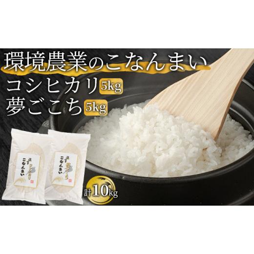 ふるさと納税 米 滋賀県 湖南市 環境農業のこなんまい コシヒカリ5kg・夢ごこち5kg(計10kg)  