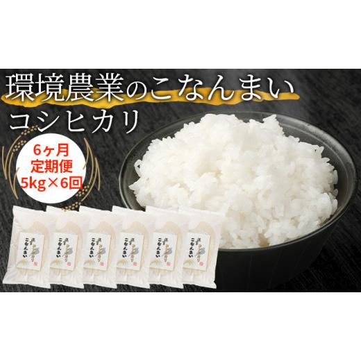 ふるさと納税 米 コシヒカリ 滋賀県 湖南市 6ヶ月定期便 環境農業のこなんまい コシヒカリ5kg  