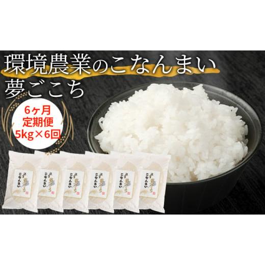ふるさと納税 米 滋賀県 湖南市 6ヶ月定期便 環境農業のこなんまい 夢ごこち5kg  