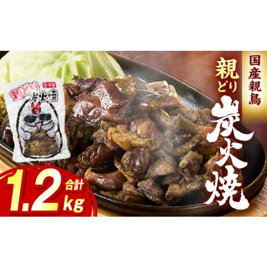 ふるさと納税 惣菜・レトルト 冷凍 宮崎県 国富町 親どり炭火焼 1.2kg(120g×10パック) 1.2kg(120g×10パック)