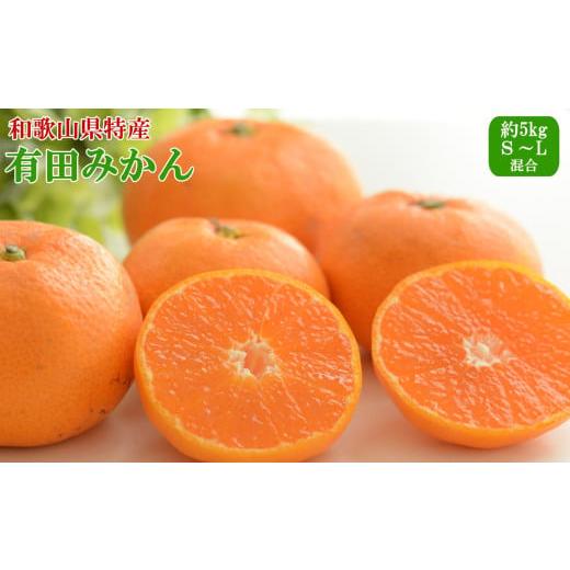 ふるさと納税 果物類 みかん 和歌山県 由良町 秀品 和歌山有田みかん約5kg(S〜Lサイズ混合) 2026年11月中旬〜2027年1月中旬頃より順次発送 tecj1025A