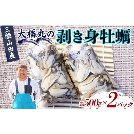 ふるさと納税 牡蠣 生牡蠣 岩手県 山田町 産地直送 三陸山田産 剥き身 牡蠣 約500g×2パック 大福丸 岩手県 三陸山田 山田町 山田湾 三陸 海産品 かき カキ Y…