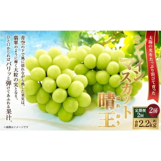 ふるさと納税 ぶどう マスカット 岡山県 倉敷市 HS 定期便 全2回 ぶどう シャイン マスカット 晴王 2房(合計約1.1kg) 2026年9月上旬〜10月下旬発送 ブドウ …