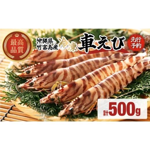 ふるさと納税 エビ 車エビ 沖縄県 竹富町 先行予約 車えび 500g 竹富島産 冷凍車えび 500g 冷凍車えび