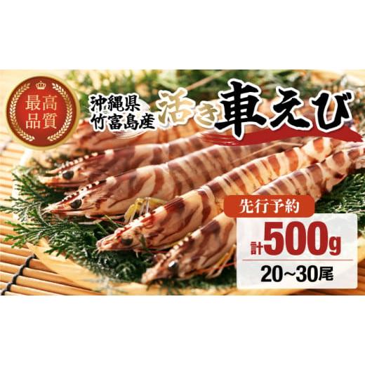 ふるさと納税 エビ 車エビ 沖縄県 竹富町 先行予約 竹富島産 活車えび 500g:20-30尾 500g 活車えび