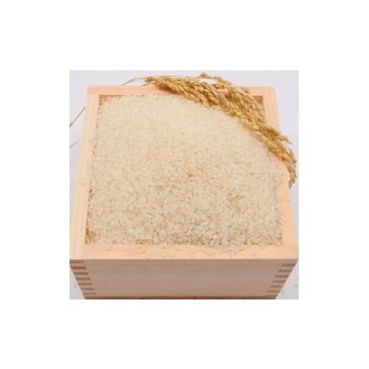 ふるさと納税 米 青森県 東北町 令和7年産 東北町産　まっしぐら　10kg　2か月定期便　計20kg　 02408-0096_2