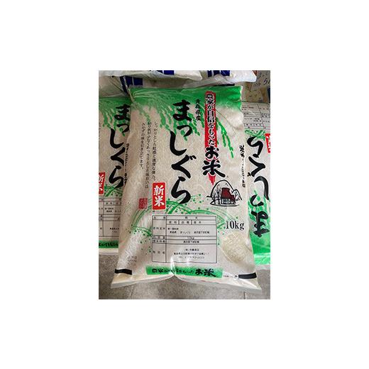 ふるさと納税 米 青森県 東北町 令和7年産 東北町産　まっしぐら　10kg　2か月定期便　計20kg　 02408-0096_3